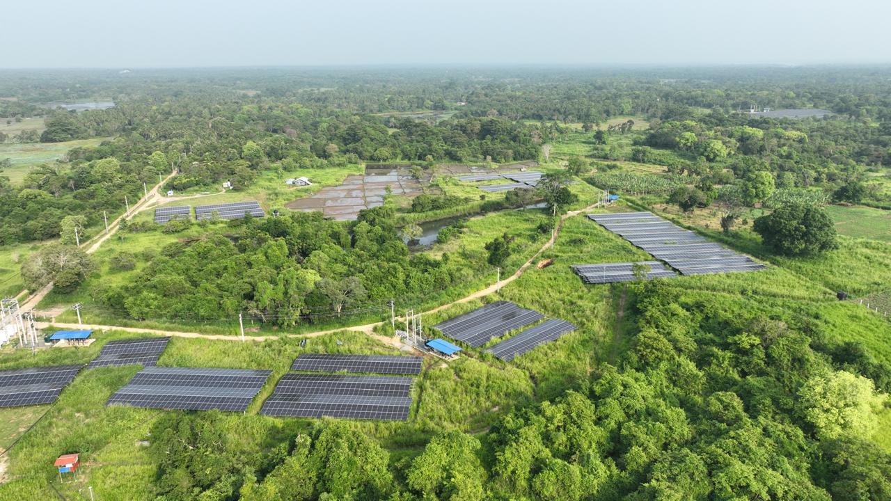 Wide aerial view of solar panels across open farmland